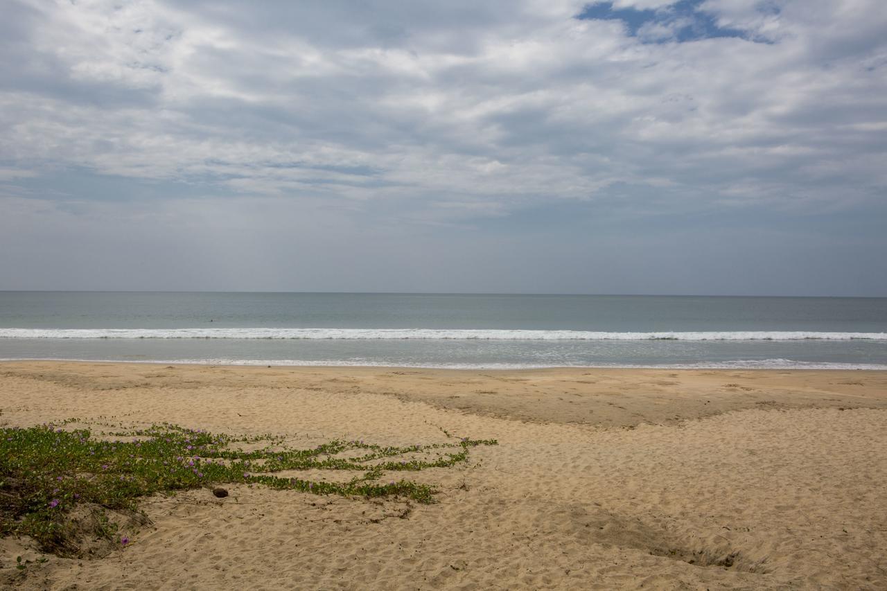 Talpona Paradise Beach House Canacona Extérieur photo