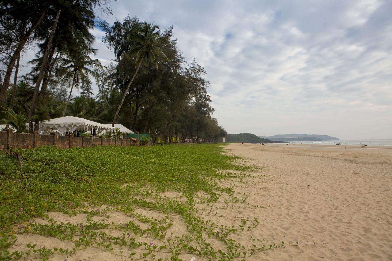 Talpona Paradise Beach House Canacona Extérieur photo